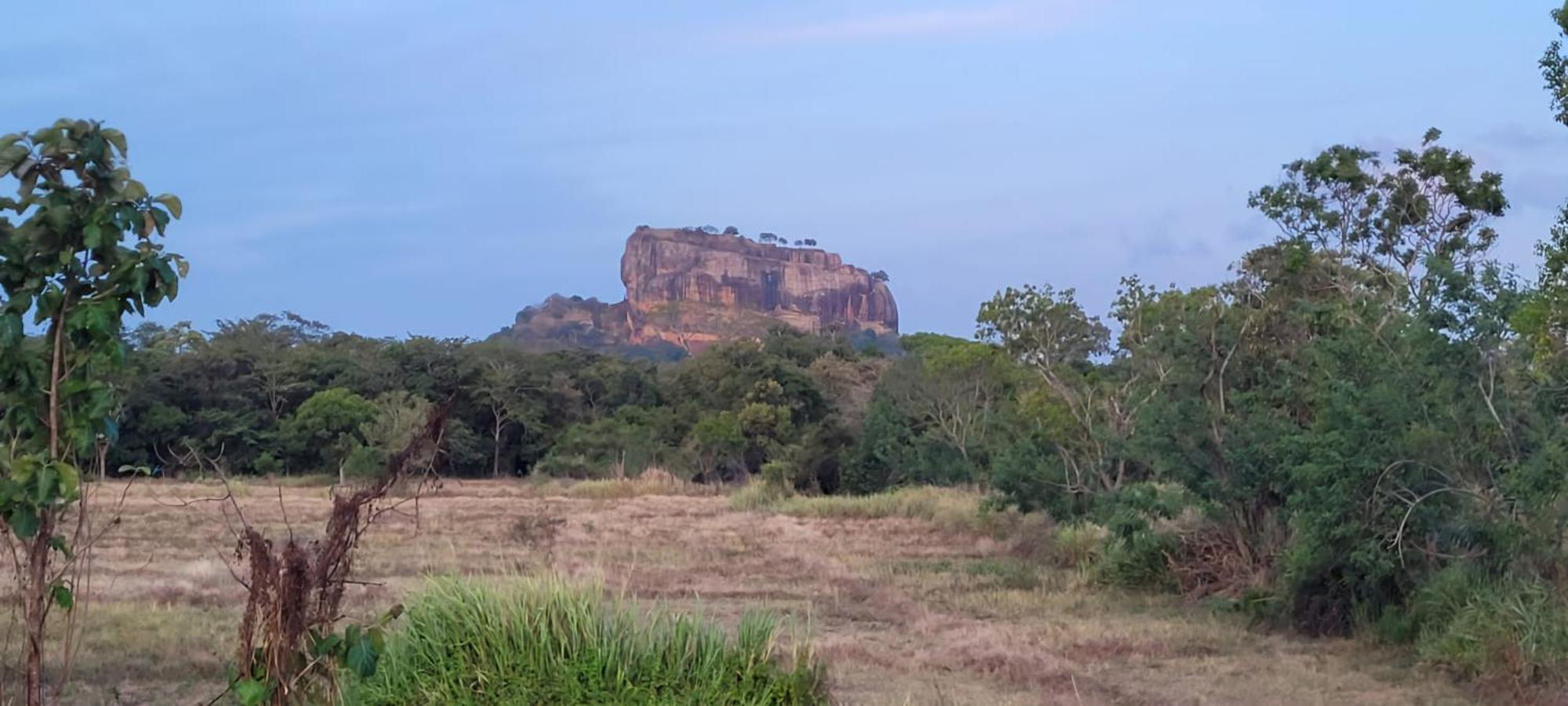 Lion King Jungle Cabanas Σιγκιρίγια Εξωτερικό φωτογραφία