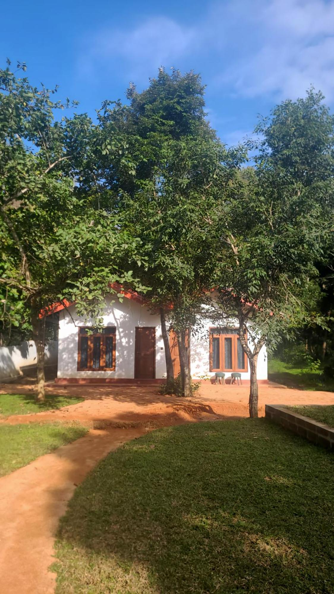 Lion King Jungle Cabanas Σιγκιρίγια Εξωτερικό φωτογραφία