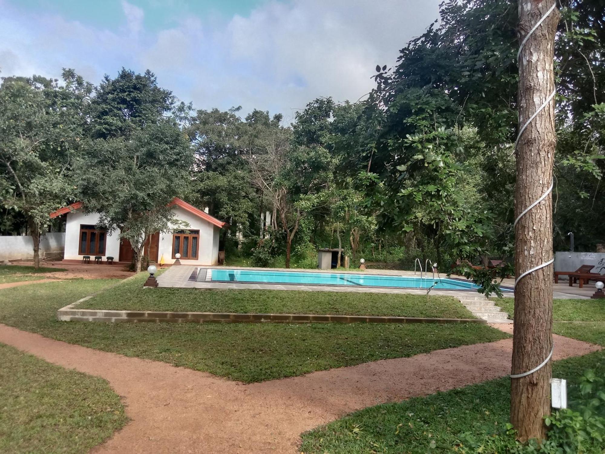Lion King Jungle Cabanas Σιγκιρίγια Εξωτερικό φωτογραφία